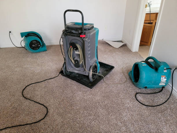 Best Flooded house restoration  in Elk Grove, CA