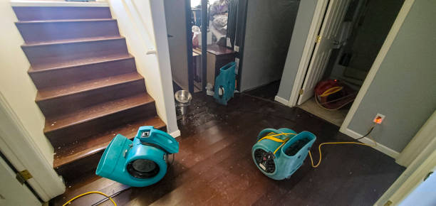  Elk Grove, CA Water damage restoration Pros