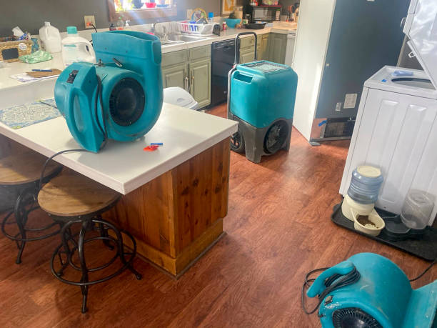 Best Water damage mitigation services  in Elk Grove, CA