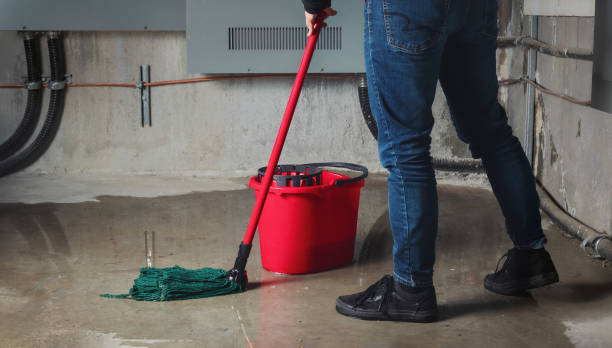 Best Residential water damage restoration  in Elk Grove, CA
