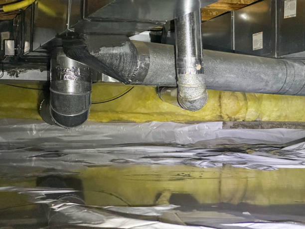 Best Flood restoration services  in Elk Grove, CA